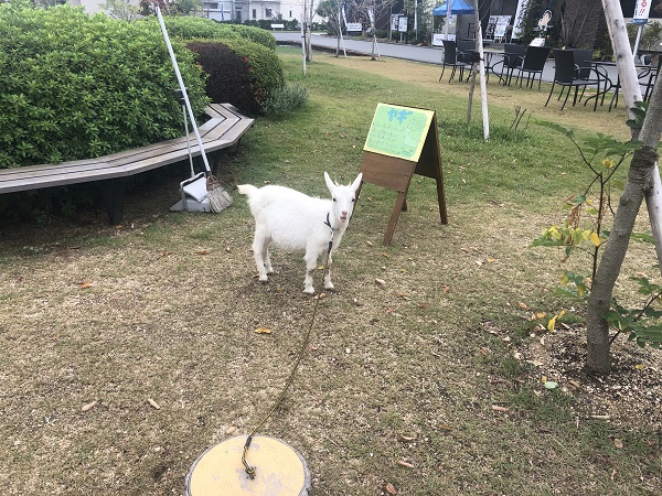 ハロウィンイベントに・・・