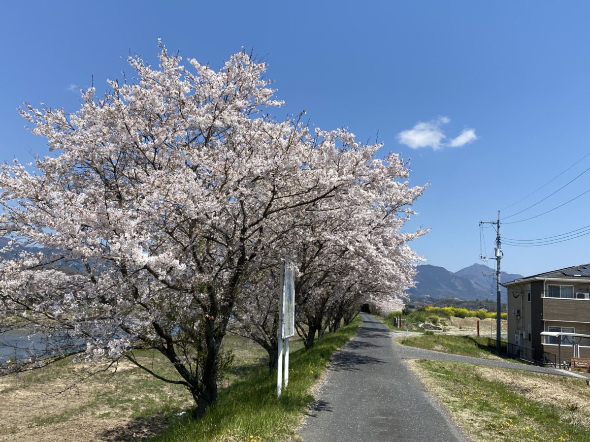 建築家との打ち合わせ