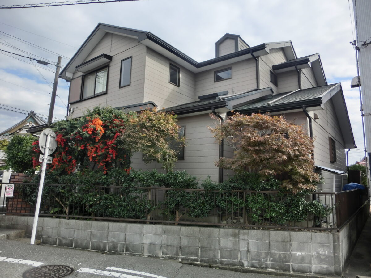 今年は何だか暖かいですね☆ アイチャッチ