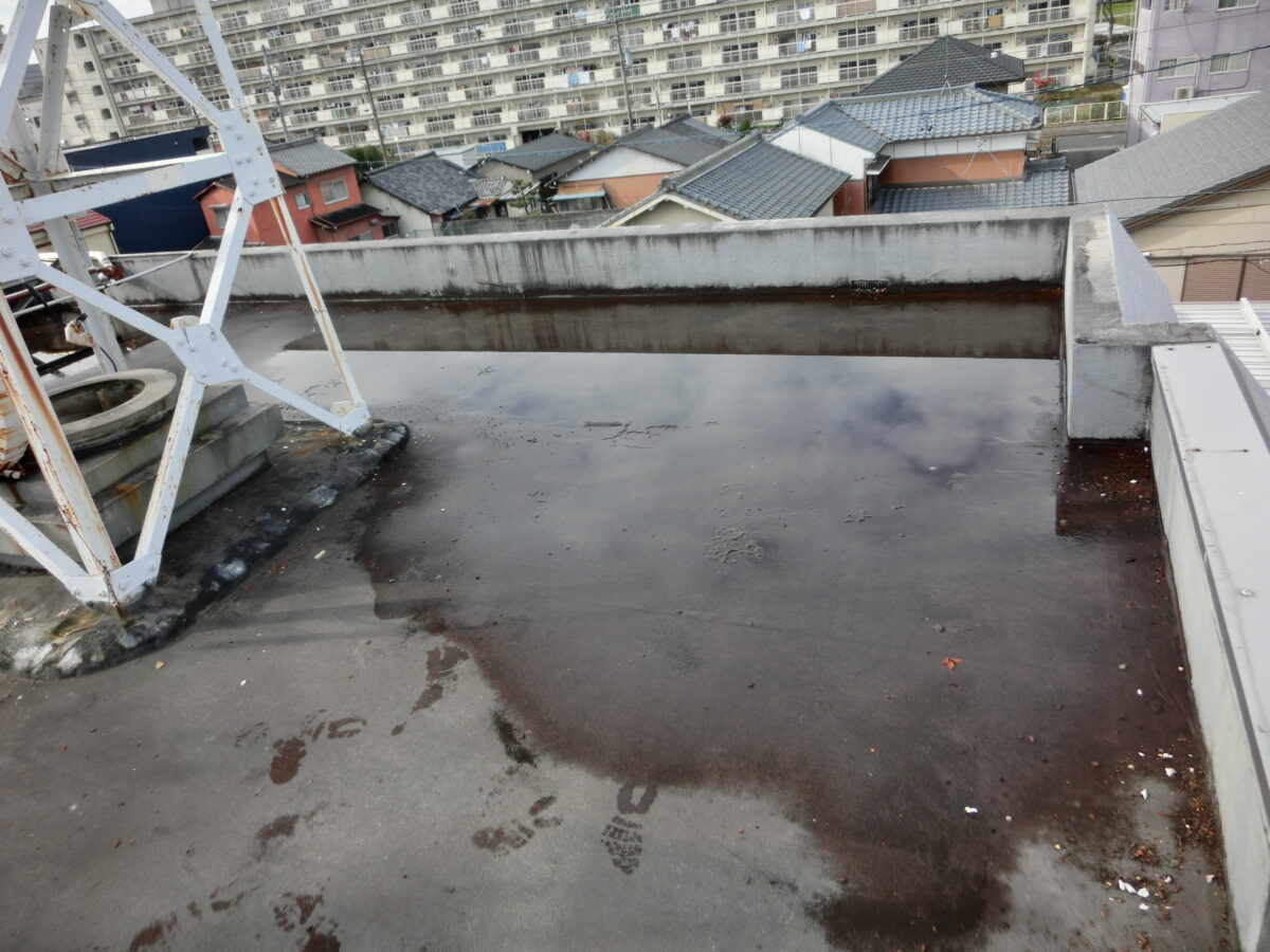 春のうちに雨漏り工事をを！ アイチャッチ