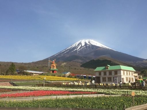 外壁塗装専門店