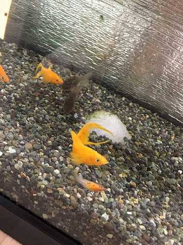 外壁塗装専門店