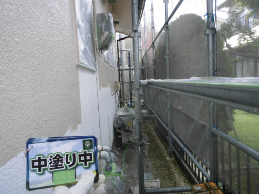 CIMG0384
