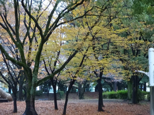 DSC05021