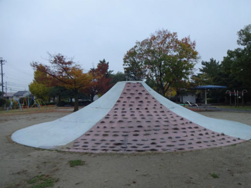 DSC05022