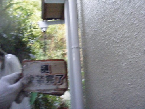 樋完成