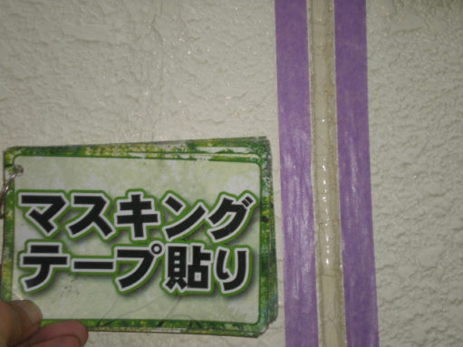 DSCN2546