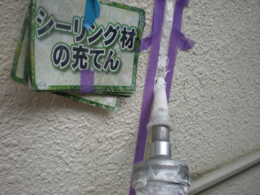 DSCN2551