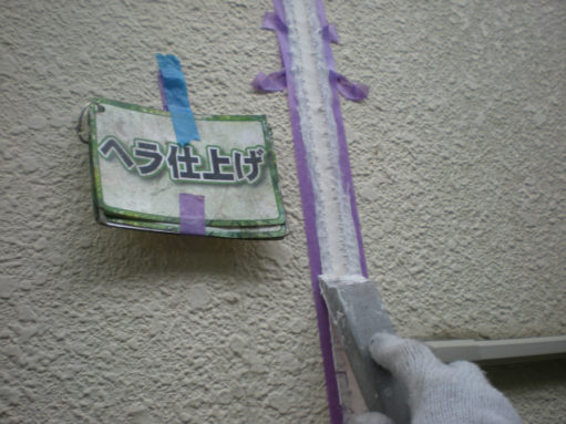 DSCN2554