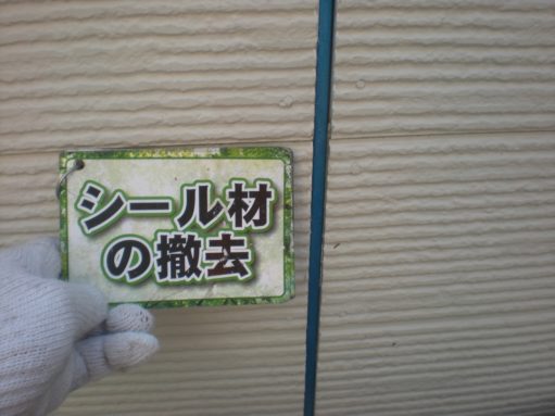 si-ru1