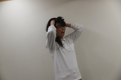 愛知岐阜三重の外壁塗装専門店　チラシ写真