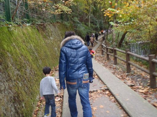 岐阜県紅葉