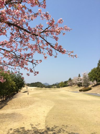 写真 2