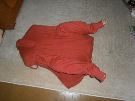 愛知県鶏